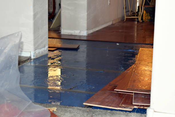 Professional Water Extraction technician working in Payson, IL